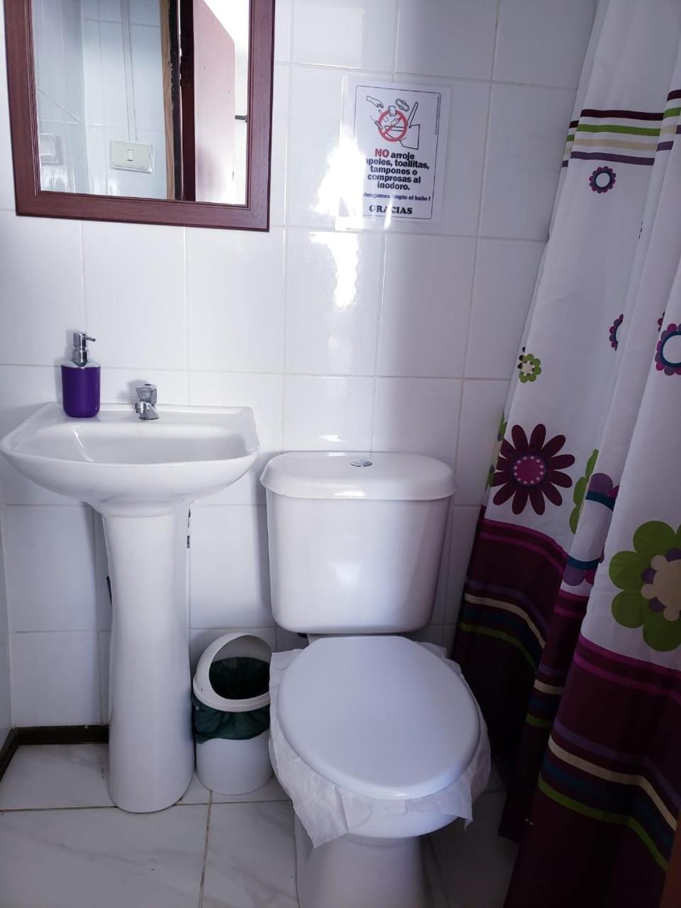 Hostal Arrayan Valdivia Kültér fotó